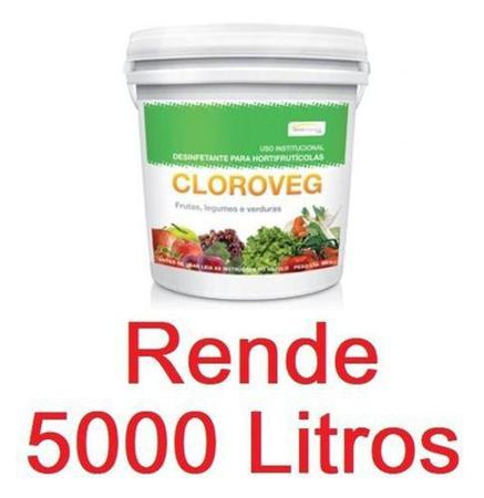 Imagem de 5 Kg Sanitizante Germicida Frutas Verduras - Rende 5000 Lts - Silver Chemical
