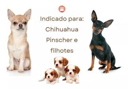 Imagem de 5 Roupa Pinscher Pet Cachorro Gato Roupinha Pequeno Porte