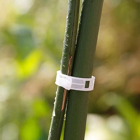 50 Grampos Clip Prendedor Amarra Plantas De Plástico Branco - stuff Imagem de 50 Grampos Clip Prendedor Amarra Plantas De Plástico Branco