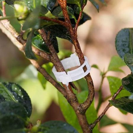 50 Grampos Clip Prendedor Amarra Plantas De Plástico Branco - stuff Imagem de 50 Grampos Clip Prendedor Amarra Plantas De Plástico Branco