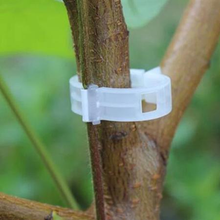 50 Grampos Clip Prendedor Amarra Plantas De Plástico Branco - stuff Imagem de 50 Grampos Clip Prendedor Amarra Plantas De Plástico Branco