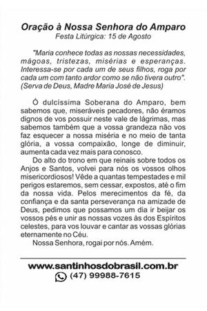 Imagem de 500 Santinhos N S Nossa Senhora do Amparo (oração no verso) - 7x10 cm