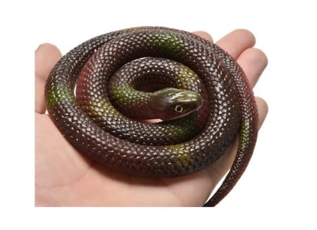 Cobrinha De Borracha Cobra De Borracha Serpente Soft - 1 Unidade