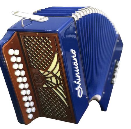 Acordeon 8 Baixos 21 Botões Minuano 8/21 - Gaita De Botão - Instrumento  Musical de Brinquedo - Magazine Luiza