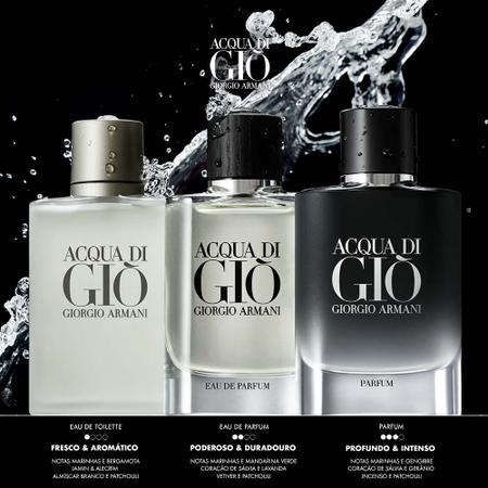 Imagem de Acqua Di Giò Homme Giorgio Armani - Perfume Masculino - Eau de Toilette