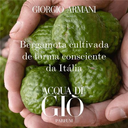 Imagem de Acqua Di Giò Homme Giorgio Armani - Perfume Masculino - Eau de Toilette