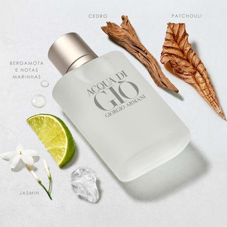 Imagem de Acqua Di Giò Homme Giorgio Armani - Perfume Masculino - Eau de Toilette