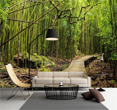 Imagem de Adesivo Paisagem Floresta Bambu Papel Parede NaturezaGG354