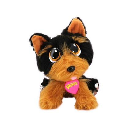 Adota pets - coockie com acessórios - multilaser - MULTIKIDS Imagem de Adota pets - coockie com acessórios - multilaser