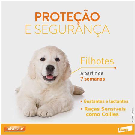 Imagem de Advocate Elanco 1,0 mL para Cães de 4 Kg até 10 Kg - 3 Bisnagas