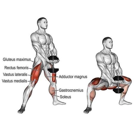 Suporte Para Agachamento Sumô Treino Academia Musculação Fitness