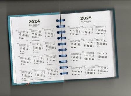 Imagem de Agenda Escolar 2024 Grande Borboletas Coloridas Diária 168f 