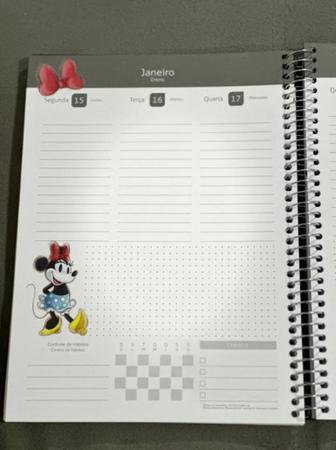 Agenda Planner Espiral 100 Anos da Disney 2024 - 192 Folhas - Papel Picado  - Papelaria, presentes, Scrapbook, decoração e muito mais