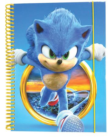 Diário Infantil Sonic (arquivo Pdf)