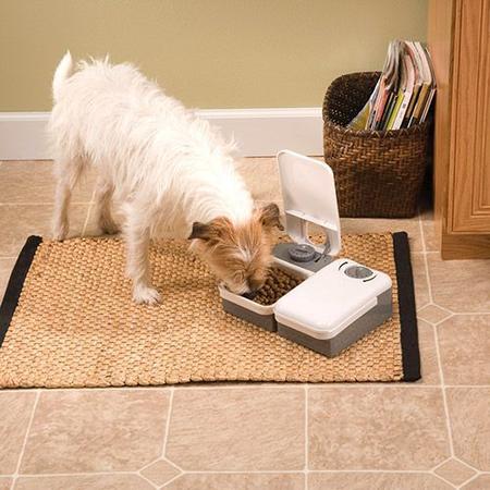 Imagem de Alimentador Automático Eatwell para Cães e Gatos, programação de 2 Refeições - Branco Cinza - Amicus