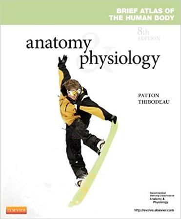 Imagem de Anatomy & physiology brief atlas of the human body - ELSEVIER ED