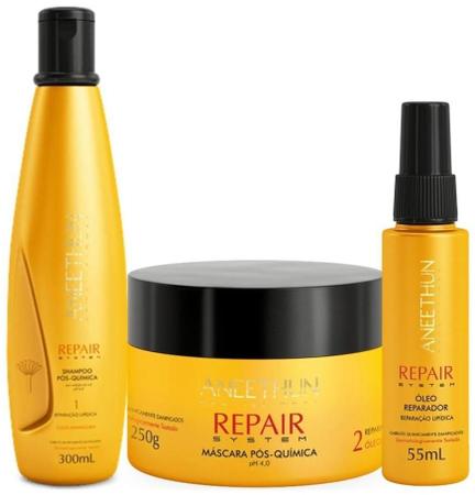 Imagem de Aneethun Kit Pós Química Repair System Shampoo Máscara E Óle