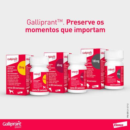 Elanco galliprant sale