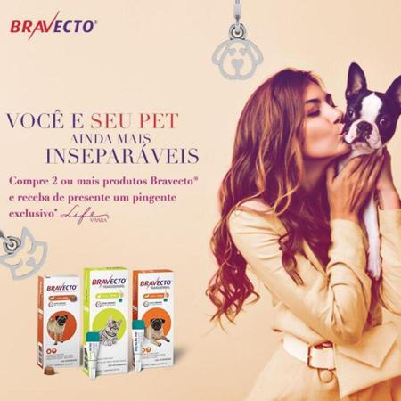 Imagem de Antipulgas Bravecto Transdermal Gatos 112,5mg (1,2 - 2,8 Kg) - MSD