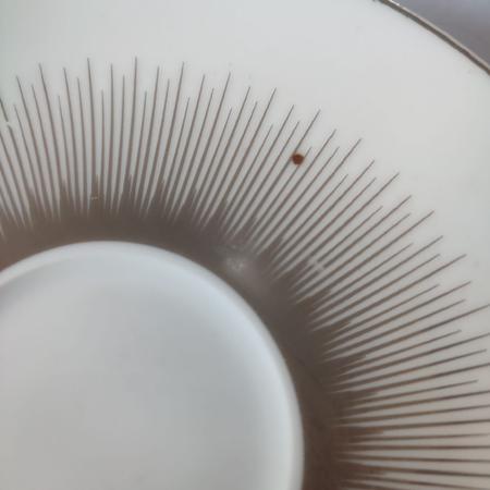 Imagem de Aparelho de Jantar 42 Peças Porcelana Friso Rajado Prata Millennium - Saldão