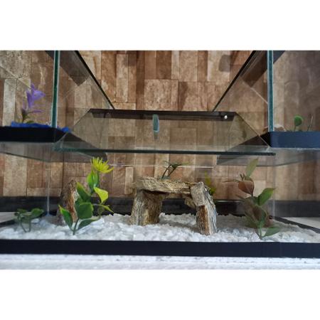 Imagem de Aquario Beteira Castelo V Tripla 3 Compartimentos Versão Maior Peixe Betta decorado pedrinhas e planta artificial