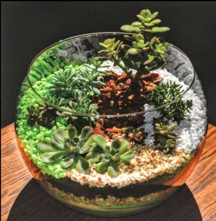 Imagem de Areia branca artesanato decoração vaso terrario  18 kg - Gold Plant