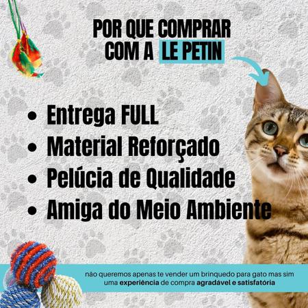 Artigos PET - Os gatinhos mais famosos do mundo 😸 Deixe seu