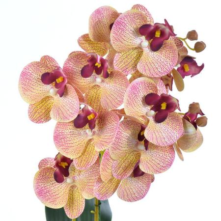 Imagem de Arranjo 2 Orquídeas Outonadas em Vaso Dourado Naty