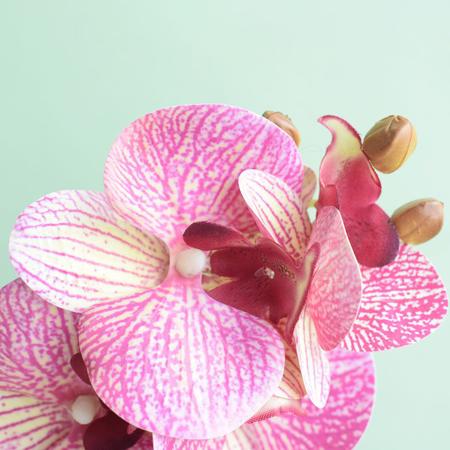 Imagem de Arranjo Artificial de Orquídea Rosa 3D no Vaso de Vidro Pequeno  Formosinha