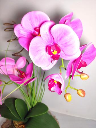 Imagem de Arranjo Completo Orquídea Siliconada com Folhas Vaso Inox Metalizado.