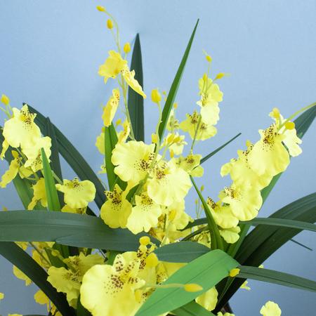 Imagem de Arranjo de Flor Artificial Amarelas no Vaso Preto  Formosinha