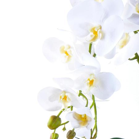 Imagem de Arranjo de Orquídea Artificial Branca 4 Hastes Vibrante