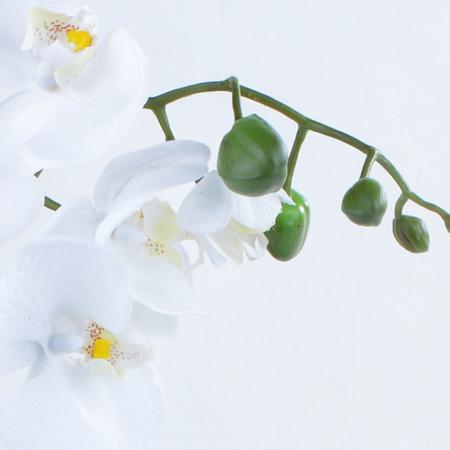 Imagem de Arranjo de Orquídea Artificial Branca em Aquário Rose Gold Bella