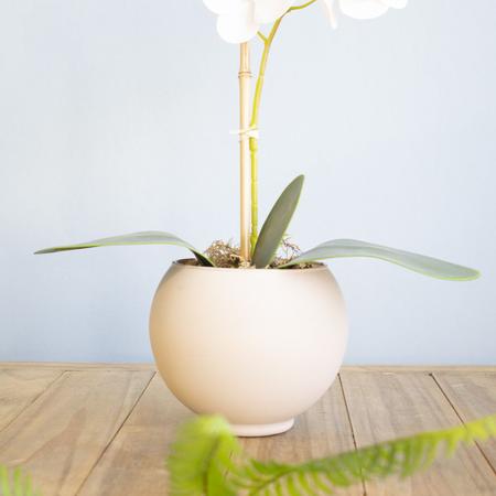 Imagem de Arranjo de Orquídea Artificial Branca no Vaso Nude  Formosinha