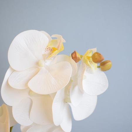 Imagem de Arranjo de Orquídea Artificial Branca no Vaso Preto  Formosinha