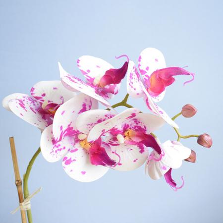 Imagem de Arranjo de Orquídea Artificial Tigre no Vaso Rose Gold P  Formosinha