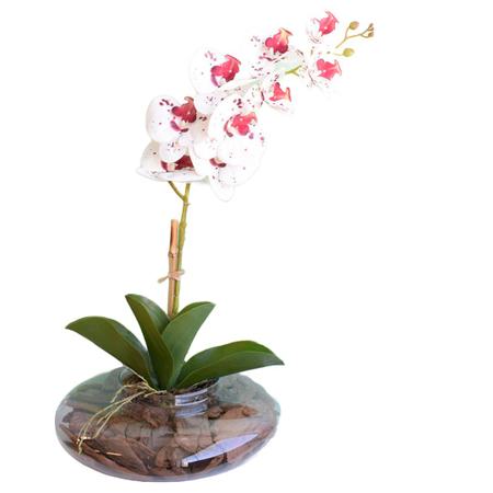 Imagem de Arranjo de Orquídea Artificial Tigre no Vaso Vidro  Formosinha