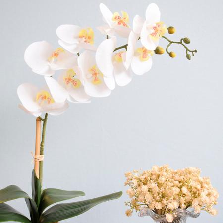 Imagem de Arranjo de Orquídea Branca de Silicone no Vaso Transparente de Vidro