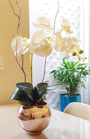 Imagem de Arranjo de Orquídea Branca Vaso Rose 15cm