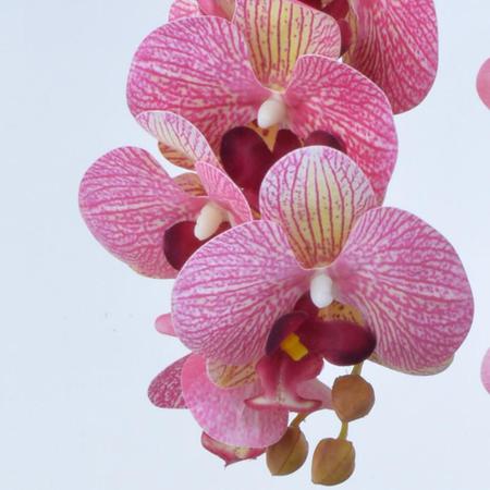 Imagem de Arranjo de Orquídea com Estrias Rosa em Vaso Rose Gold