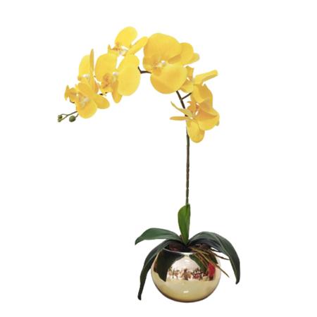 Imagem de Arranjo Flores De Orquídea E Vaso Dourado Luxo João