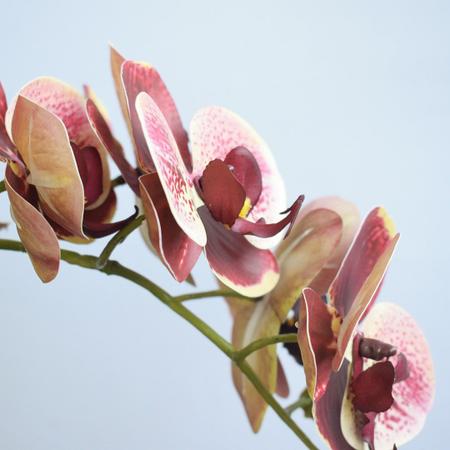 Imagem de Arranjo Orquídea Artificial Coral no Vaso Rose Gold  Formosinha