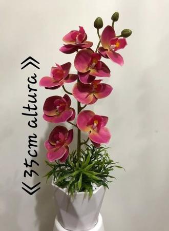 Arranjo Orquídea - Flores E Cia Imagem de Arranjo Orquídea