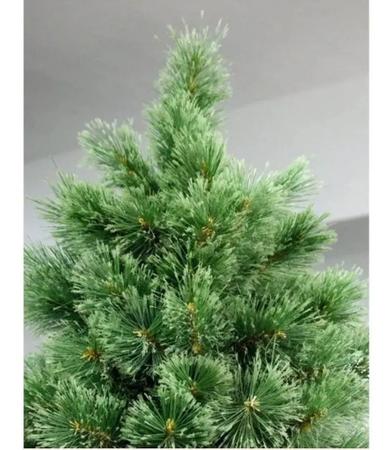 Arvore De Natal Pinheiro Grande Simples Verde Nevada 1,80 Mt - DHS SHOP -  Site Oficial