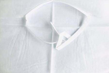 Babador Descartável Tnt Para Restaurante 30g Com Tiras 100 Unid - O BROTO DE FLOR Imagem de Babador Descartável Tnt Para Restaurante 30g Com Tiras 100 Unid
