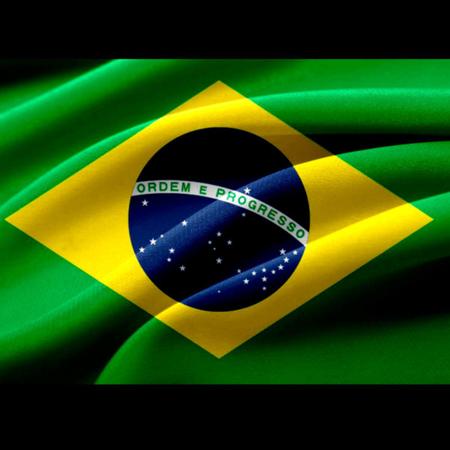 Bandeira Do Brasil Oficial Grande Melhor Preço - Arca Mega Bolsas -  Bandeiras - Magazine Luiza