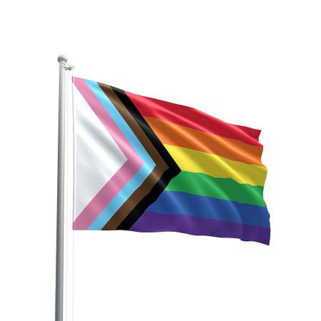 Imagem de Bandeira LGBTQIA+ Em Tecido Oxford 147x88cm 100% Poliéster