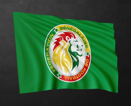 Bandeira Seleção Senegal 80cmx140cm Tecido Oxford 100% Poliéster -  PRESENTE-BRINDE - Bandeiras - Magazine Luiza