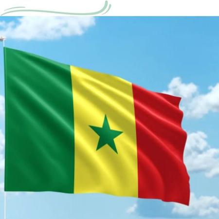 Bandeira Senegal Poliéster Oficial 150x90 Cm Copa Do Mundo - WCAN -  Bandeiras - Magazine Luiza