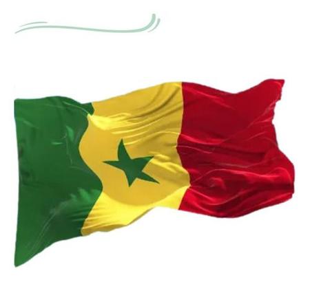 Bandeira Senegal Poliéster Oficial 150x90 Cm Copa Do Mundo - WCAN -  Bandeiras - Magazine Luiza